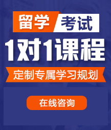 大鸡吧日逼免费看小视频留学考试一对一精品课